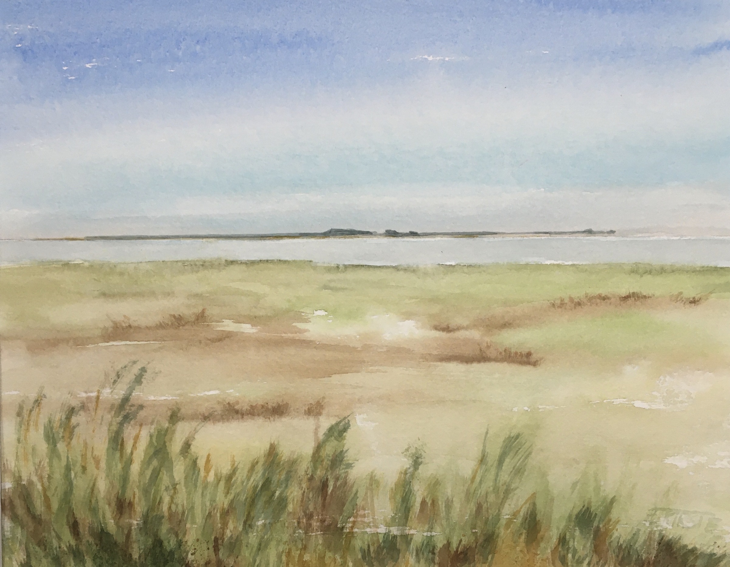 Blick auf Memmert 29x23 2025