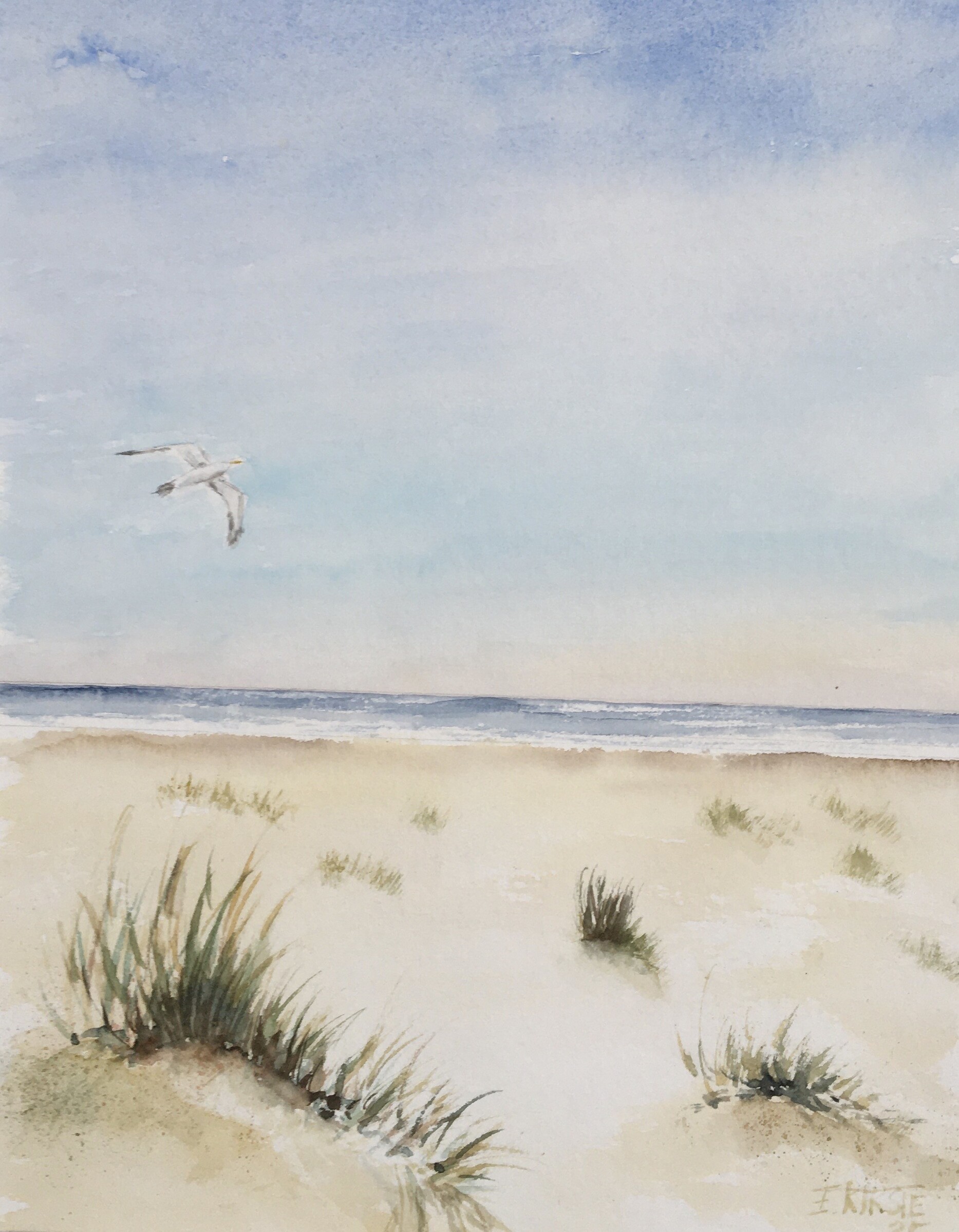 Möwe am Kalfamer 23x29 2025