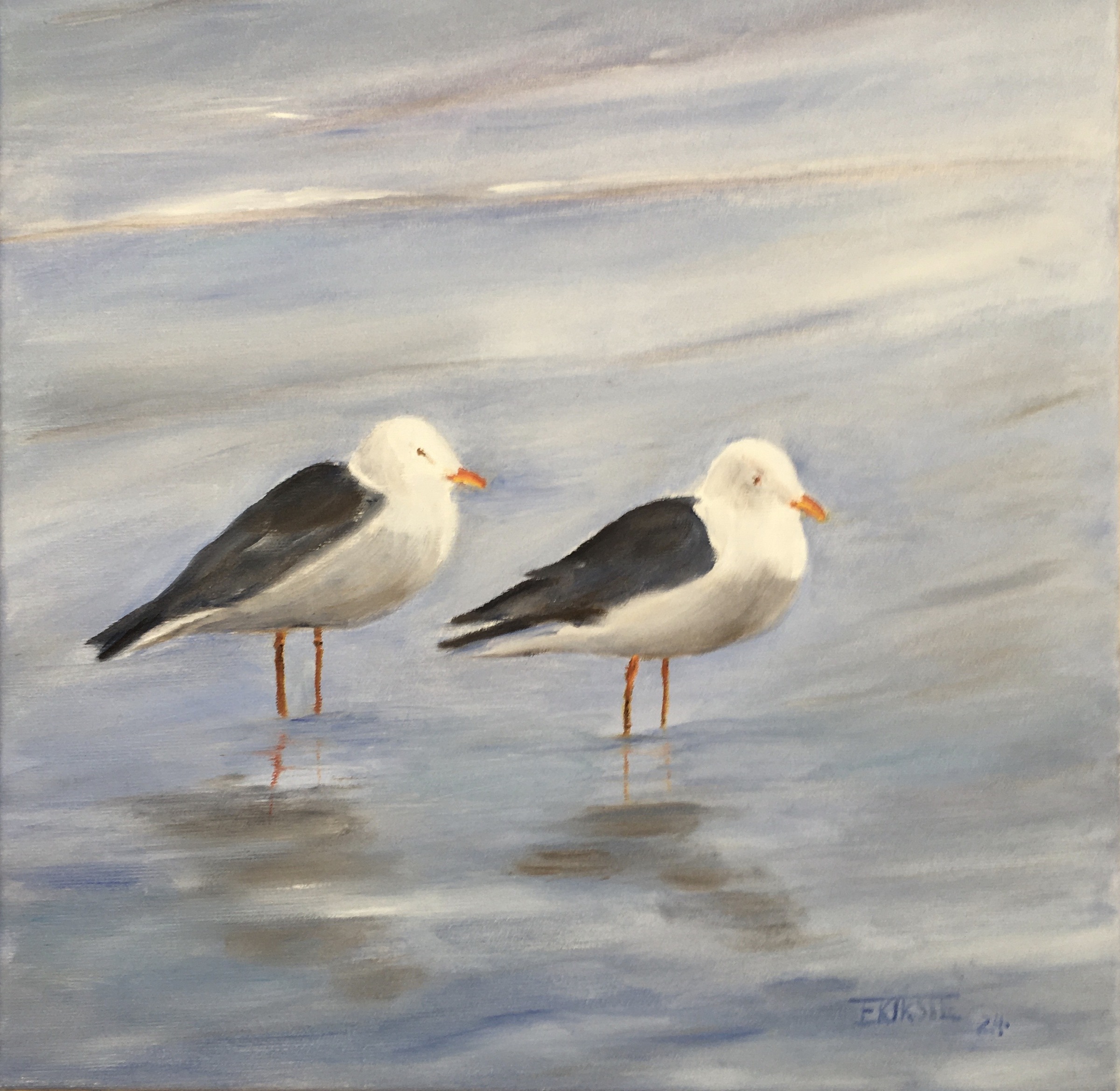 Zwei Möwen 40x40 2024